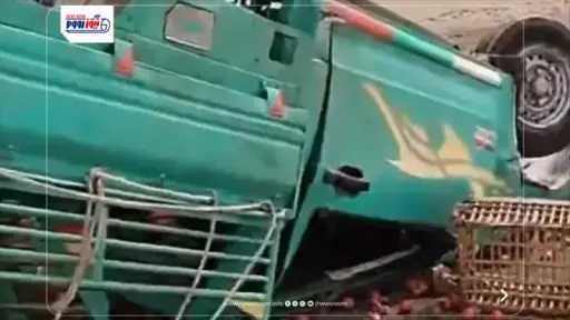 أخبار مصر
