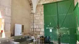عربي ودولي