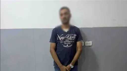 أخبار مصر