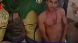 أخبار مصر