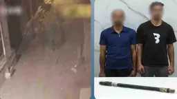 أخبار مصر