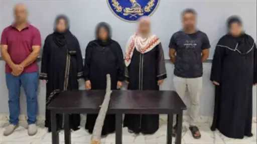 أخبار مصر