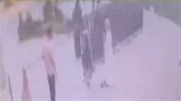 أخبار مصر