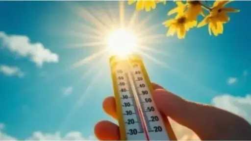 أخبار مصر