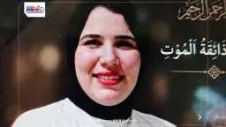 أخبار مصر