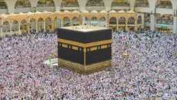 أخبار مصر