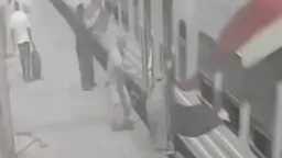 أخبار مصر