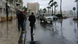 أخبار مصر