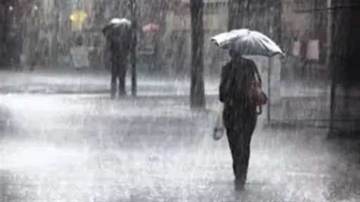 أخبار مصر