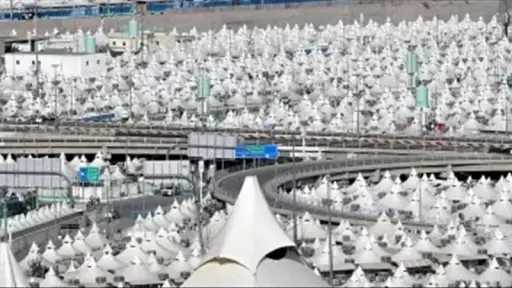 أخبار مصر