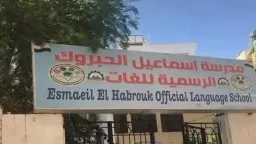 أخبار مصر
