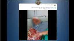 أخبار مصر