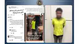أخبار مصر