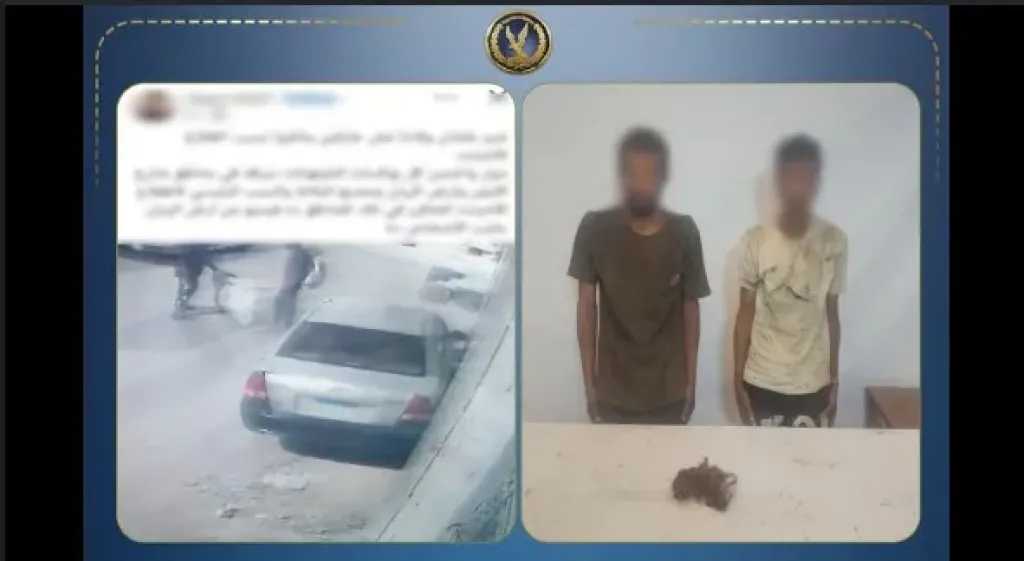 أخبار مصر