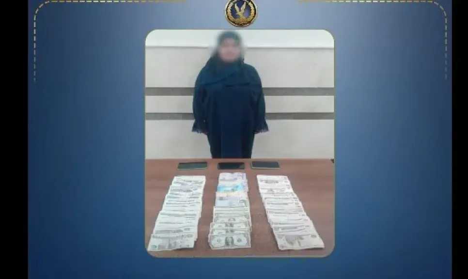 أخبار مصر
