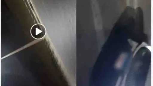 أخبار مصر