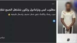 أخبار مصر