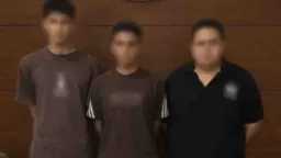 أخبار مصر