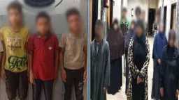 أخبار مصر