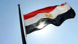 أخبار مصر