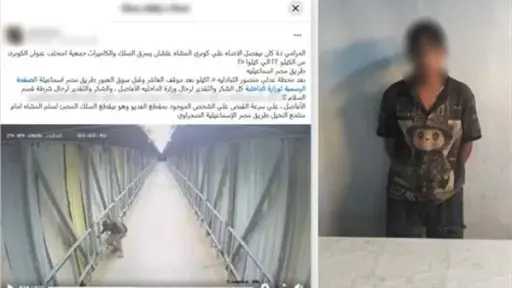 أخبار مصر