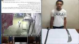 أخبار مصر