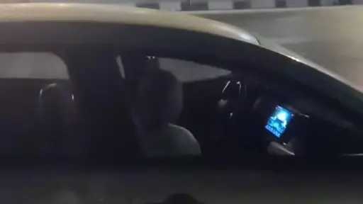أخبار مصر