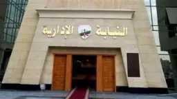 أخبار مصر