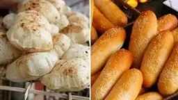 أخبار مصر