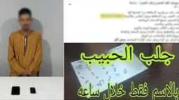 أخبار مصر