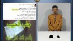 أخبار مصر