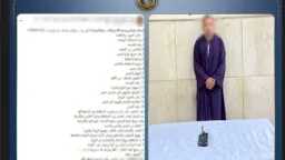 أخبار مصر