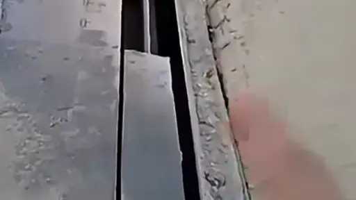 أخبار مصر