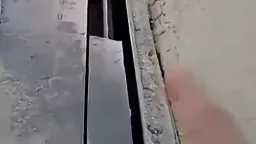 أخبار مصر