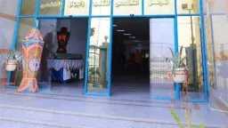 أخبار مصر
