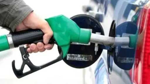 أخبار مصر
