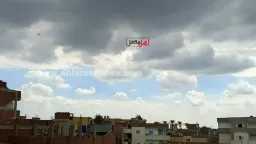 أخبار مصر