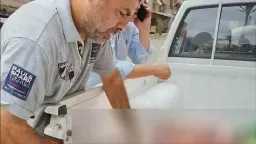أخبار مصر
