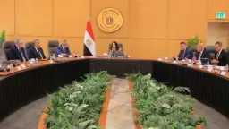 أخبار مصر