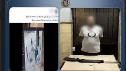 أخبار مصر