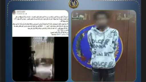 أخبار مصر