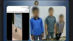 أخبار مصر