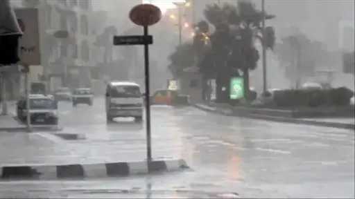 أخبار مصر