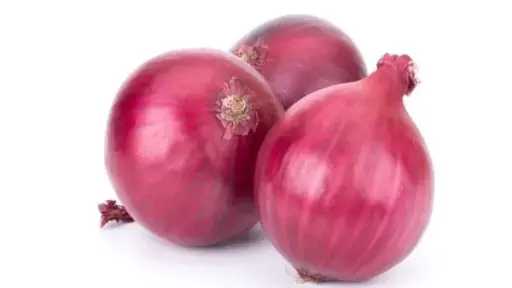 فن