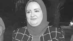 أخبار مصر