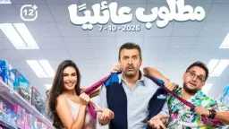 فن