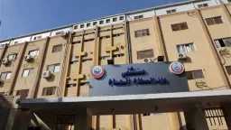 أخبار مصر