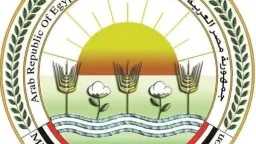 أخبار مصر