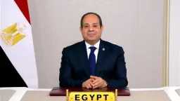 أخبار مصر