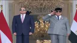 أخبار مصر